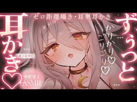 Suyari Ch. 夜ノすやり