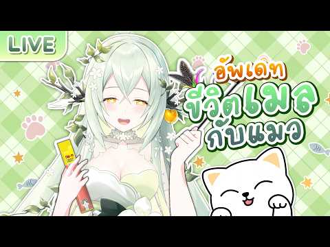 Mycara Melony Ch. Pixela-Mystic
