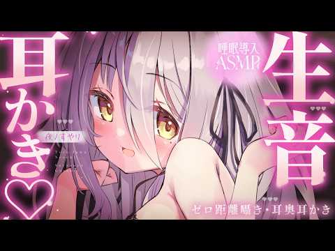 Suyari Ch. 夜ノすやり