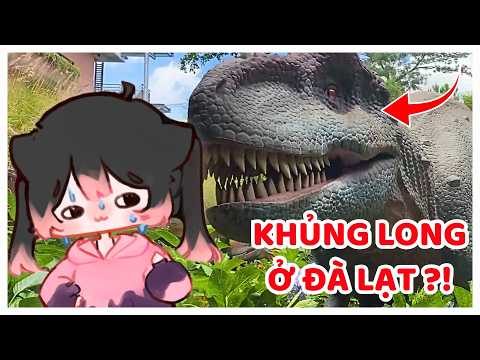 TOKI GẶP AI TRÊN ĐÀ LẠT CƠ ?! #shorts