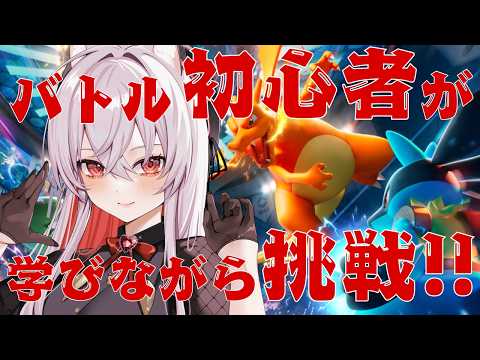 天満ニア / Amama Nia
