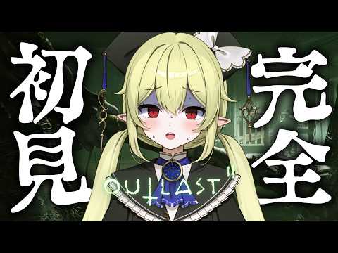 ロロ・オリフィス / Lolo Orifice