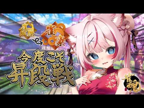Molf Ch. 海汐もるふ