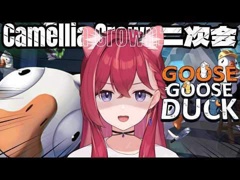昏昏アリア / Konkon Aria
