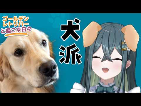 十河ののは / Togawa Nonoha【にじさんじ】
