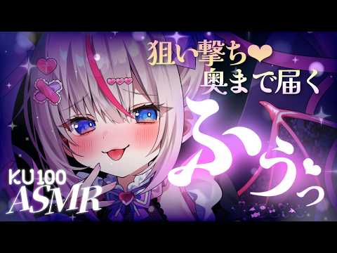 Toiki Ch. 夜想といき