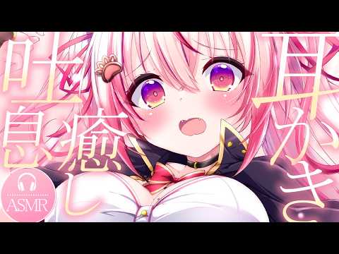Kuon ch.桜神くおん