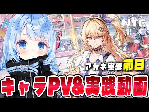 白樺るるは