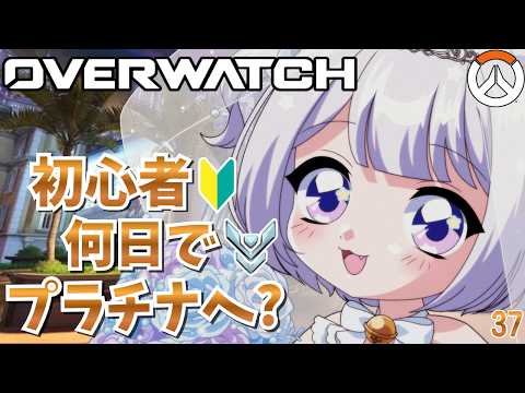 猫羽ころんNekohakoron