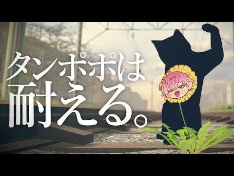 皇れお / Sumeragi Reo【にじさんじ】