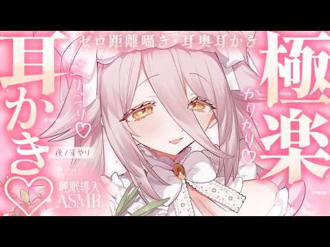 Suyari Ch. 夜ノすやり