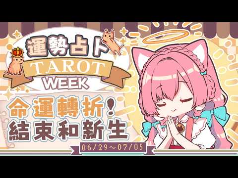 櫻野露 RURU Ch.