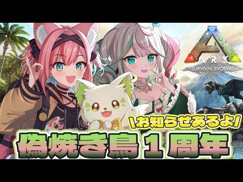 コマチ ガブ / Komachi Gabu