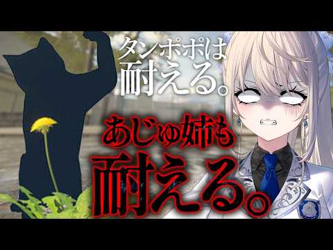 本阿弥あずさ / Azusa Honami