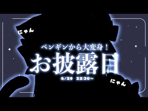 22:30~にゃんと!お披露目✨アコギとお歌💙睡眠導入や作業のBGMにも🐧【#歌枠 /#弾き語り/#Vtuber】