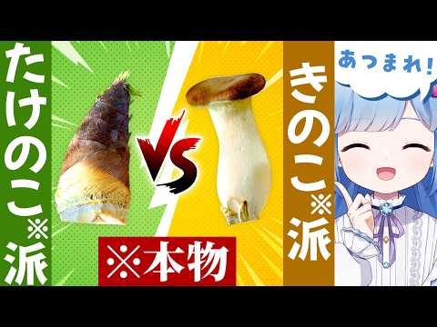 瑠璃野ねも