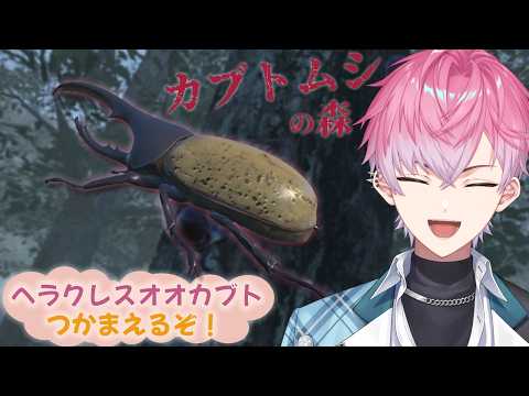 【 カブトムシの森 】10月もカブトムシを捕まえにいくぞ!!!【 皇れお  / にじさんじ 】