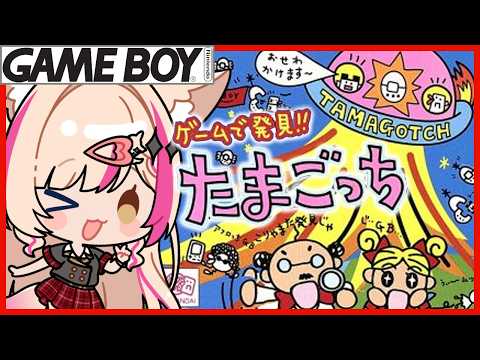 Mitora ch.紅羽ミトラ