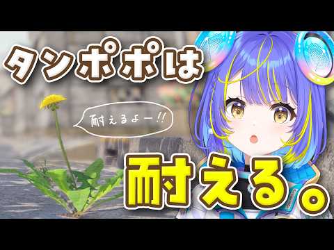 Sopia Ch. 宙科そぴあ ‐ アソビ★まわり隊!