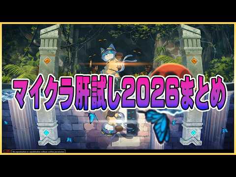 クーYouTubeちゃんねる