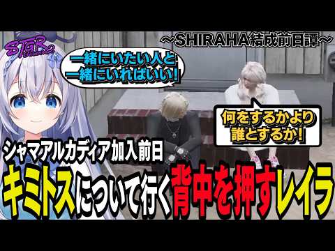 Mio Ch. 猫月みお【あみゅどる】
