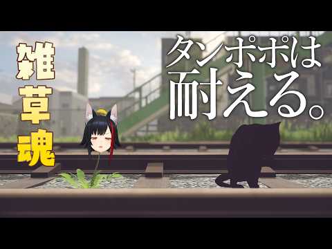 【タンポポは耐える。】雑草魂🔥🔥【ホロライブ/大神ミオ】